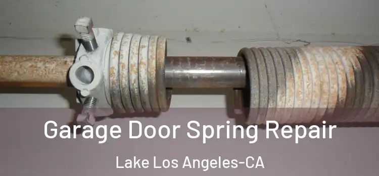  Garage Door Spring Repair Lake Los Angeles-CA