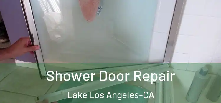  Shower Door Repair Lake Los Angeles-CA