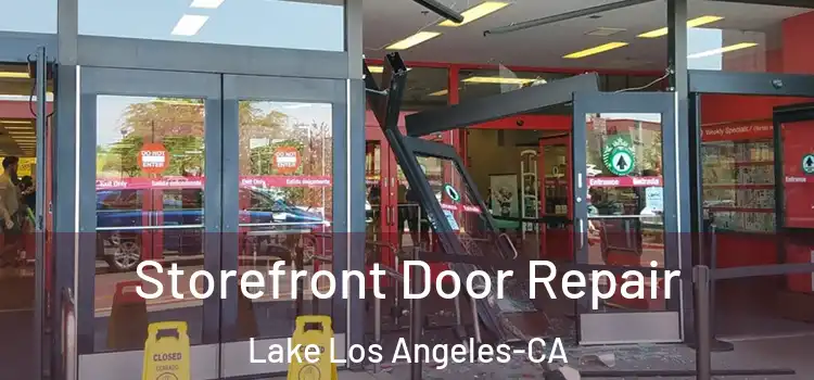 Storefront Door Repair Lake Los Angeles-CA